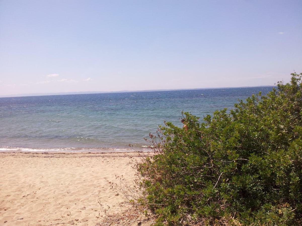 Afroditi Beach Gerakini Luaran gambar
